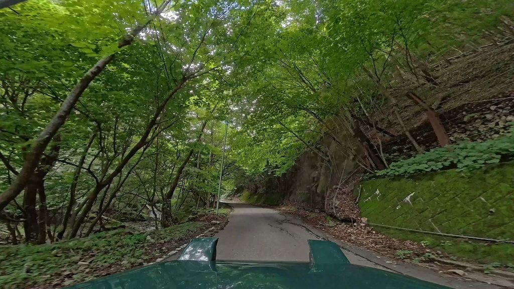 栃木県道293号庚申山公園線